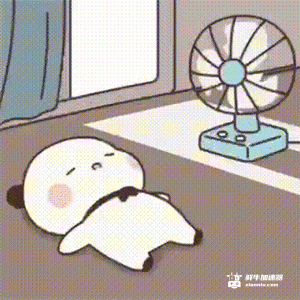 c858b978dc55cc10c94478b18b3fdf13.gif