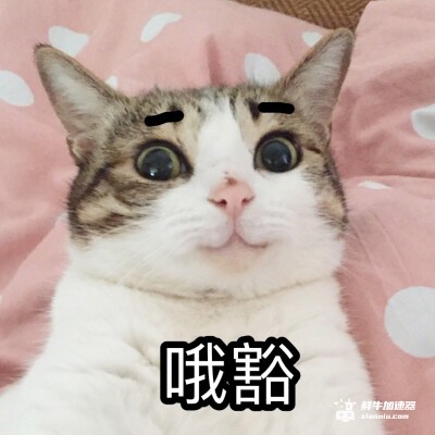 src=http___b-ssl.duitang.com_uploads_item_201707_21_20170721220233_S4fvU.thumb.400_0.jpeg&refer=http___b-ssl.duitang.jpeg