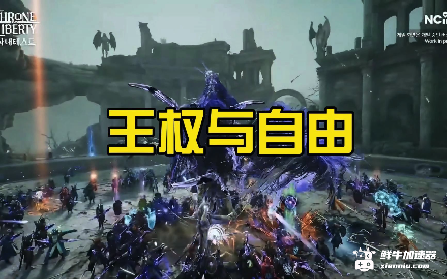 鲜牛加速器