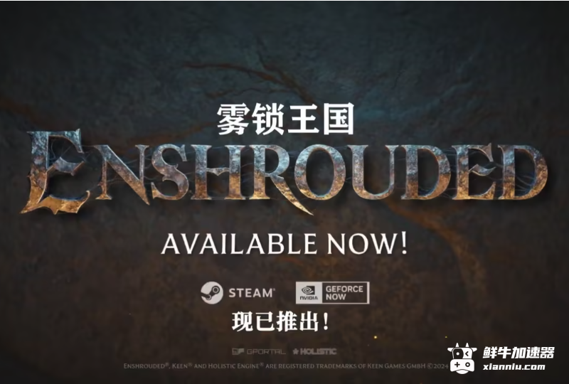 鲜牛加速器