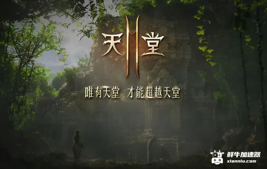 鲜牛加速器