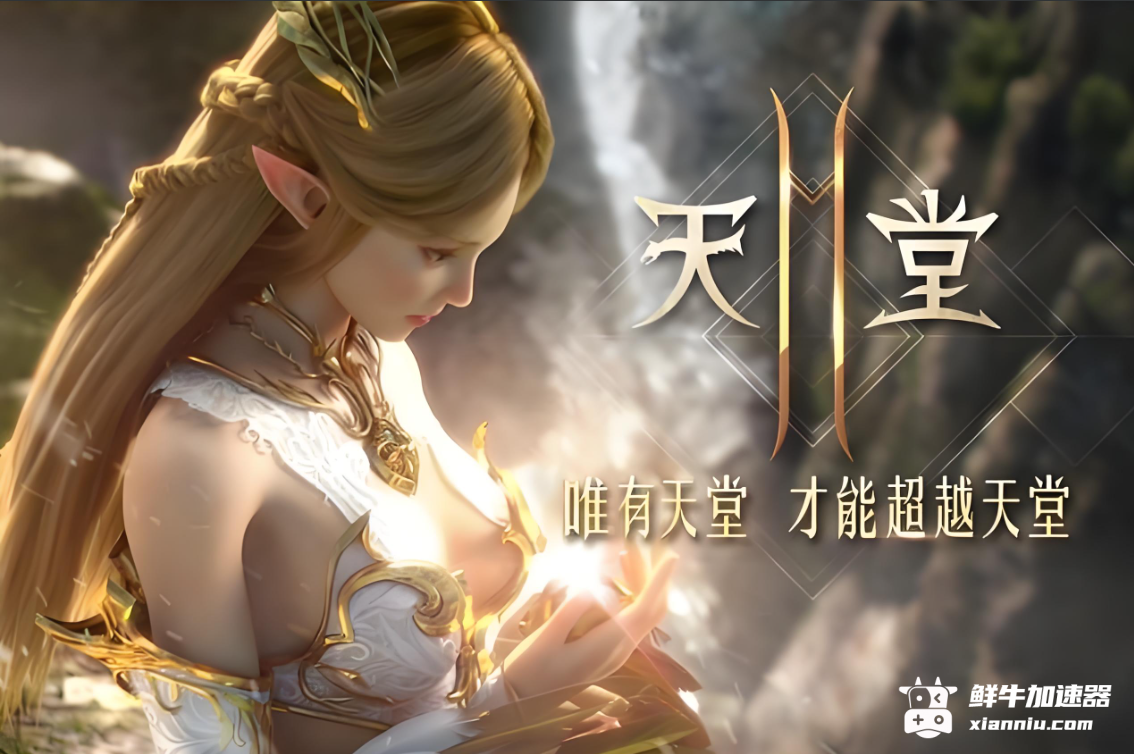 鲜牛加速器