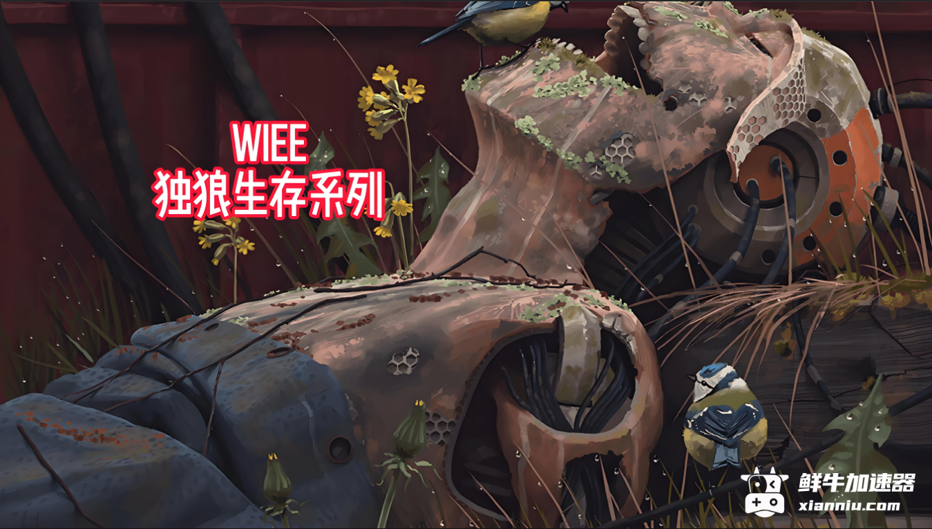 鲜牛加速器