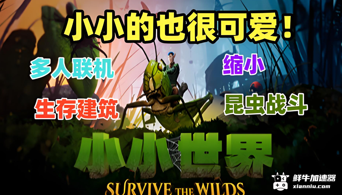 鲜牛加速器