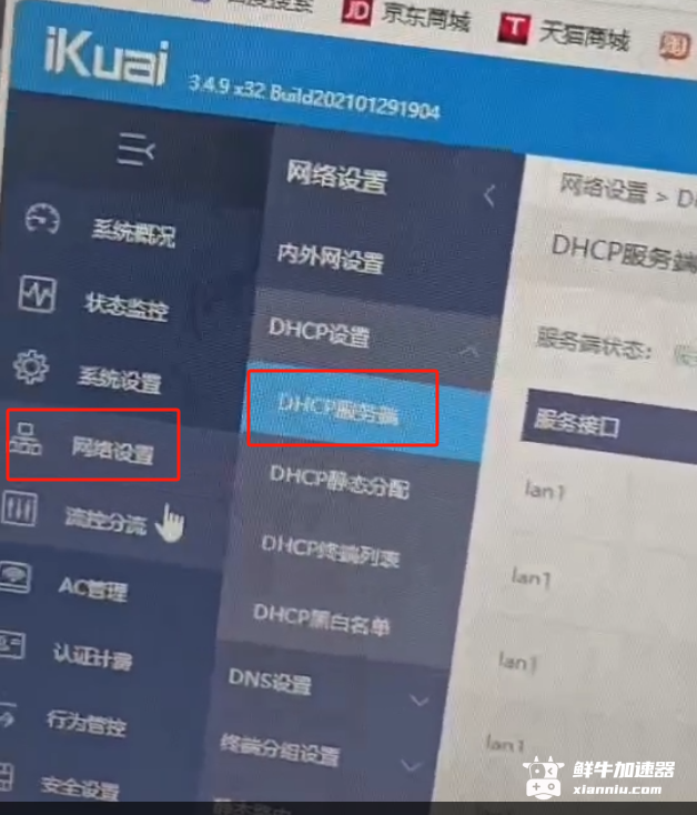 鲜牛加速器