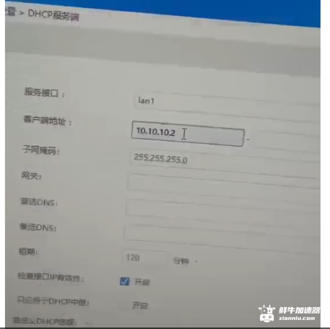 鲜牛加速器
