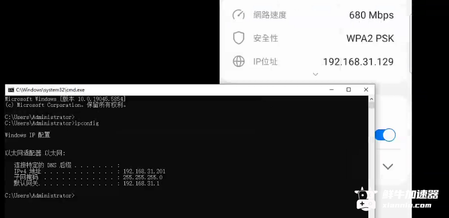鲜牛加速器