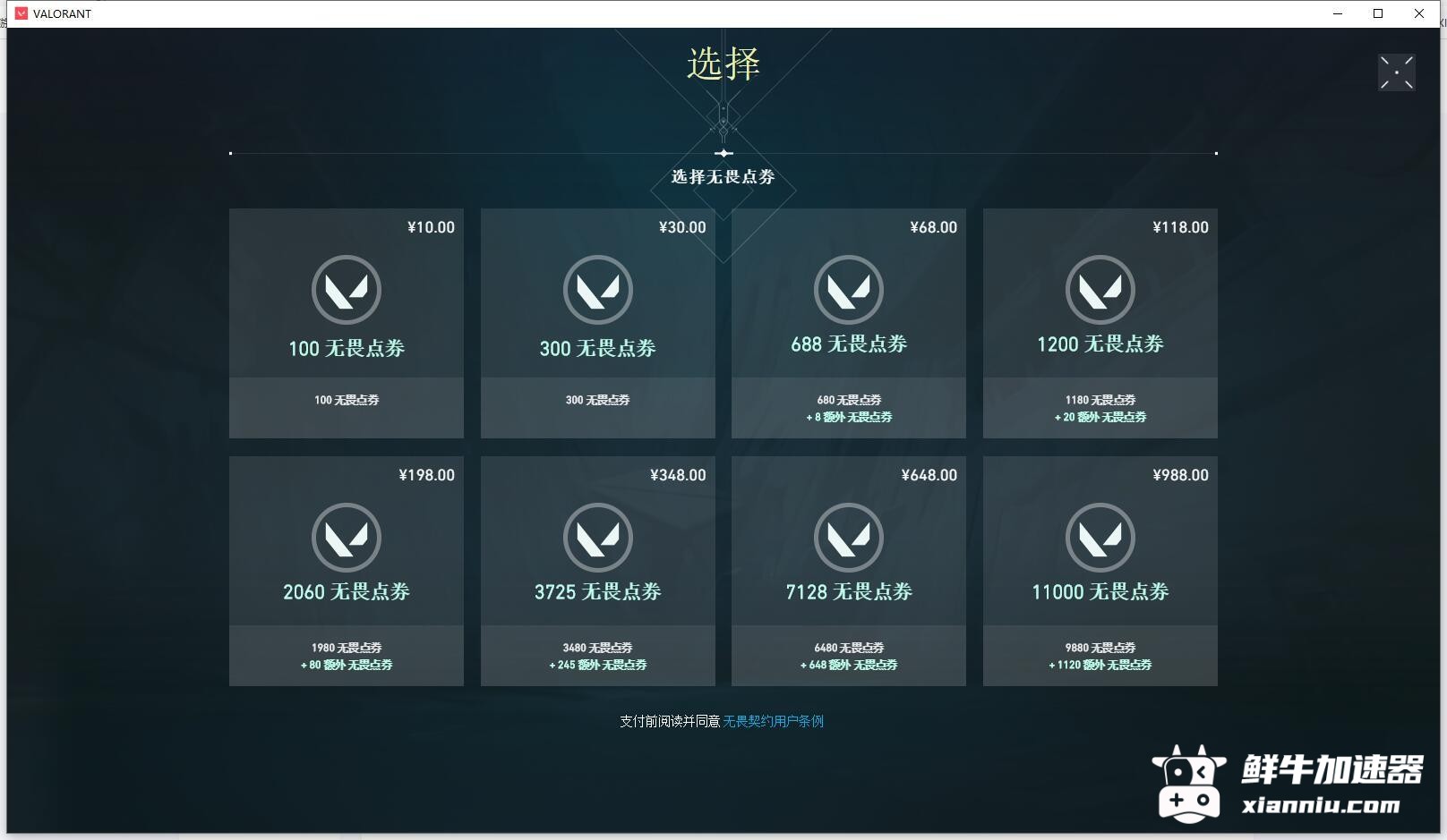 鲜牛加速器