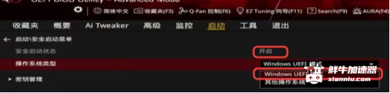 鲜牛加速器