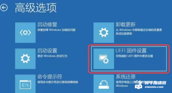 鲜牛加速器