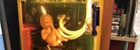 玩家DIY《死亡搁浅》主题PC主机 BB在机箱里看着你