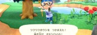 Fami通日本销量:《动森》累计555万份 《健身环》第2