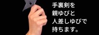 世嘉推出“忍者手里剑训练机” 经日本忍者协会公认