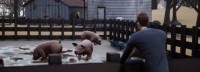 Steam剧情冒险游戏《再见》 怎样金盆洗手全身而退