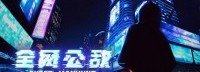 杉果π：Steam特别好评《全网公敌》开发者访谈