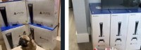 黄牛机构协助会员转售热门商品：购入近2500台PS5