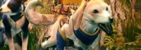 IGN《怪猎崛起》随从自定义演示 捏猫捏狗选项丰富