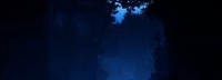 恐龙游戏《本能》曝光 自称为《恐龙危机》精神续作