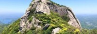 对马岛政府邀请索尼当旅游大使 给吉田修平寄明信片