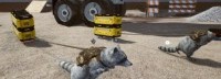 这款模拟游戏Steam开启EA 当浣熊拯救动物建家园
