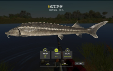 俄罗斯钓鱼4: RussianFishing 游戏网络设置详细教程!