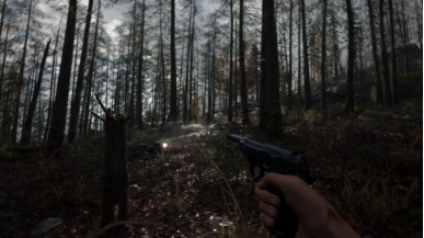 《人间地狱 Hell Let Loose》游戏崩溃问题解决方案:鲜牛加速器助力稳定畅玩