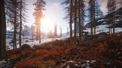 优化《RUST（腐蚀）》网络设置，确保顺畅游戏体验