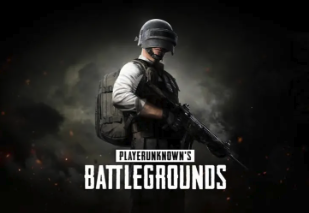 探究《绝地求生（PUBG）》服务器连接问题及解决方案：鲜牛加速器的得力助手