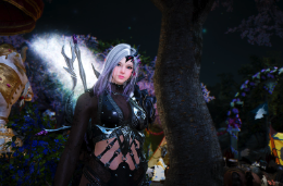 《黑色沙漠》BOSS战攻略与鲜牛加速器应用指南