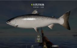 《俄罗斯钓鱼4》鱼竿选择与使用技巧解析，成为钓鱼高手的关键！