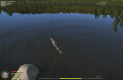 《俄罗斯钓鱼4》鱼饵选择攻略，提高成功率享受更好的钓鱼体验