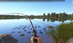 鲜牛加速器助力《俄罗斯钓鱼4》玩家解决网络难题，畅享无忧游戏时光