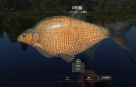 《俄罗斯钓鱼4》网络不稳定？鲜牛加速器来救场，畅享稳定游戏体验！