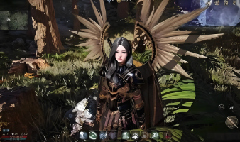 《夜鸦国际服》玩家福音，鲜牛加速器助你畅享极速游戏体验