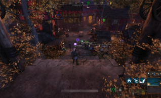 《天堂W》卡顿终结者：鲜牛加速器使用全攻略