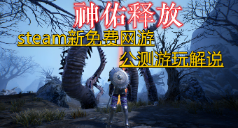 使用鲜牛加速器提升《神佑释放》游戏帧数