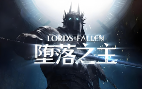 堕落之主与鲜牛加速器的完美结合