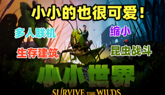《小小世界》遇上鲜牛加速器，游戏不再延迟