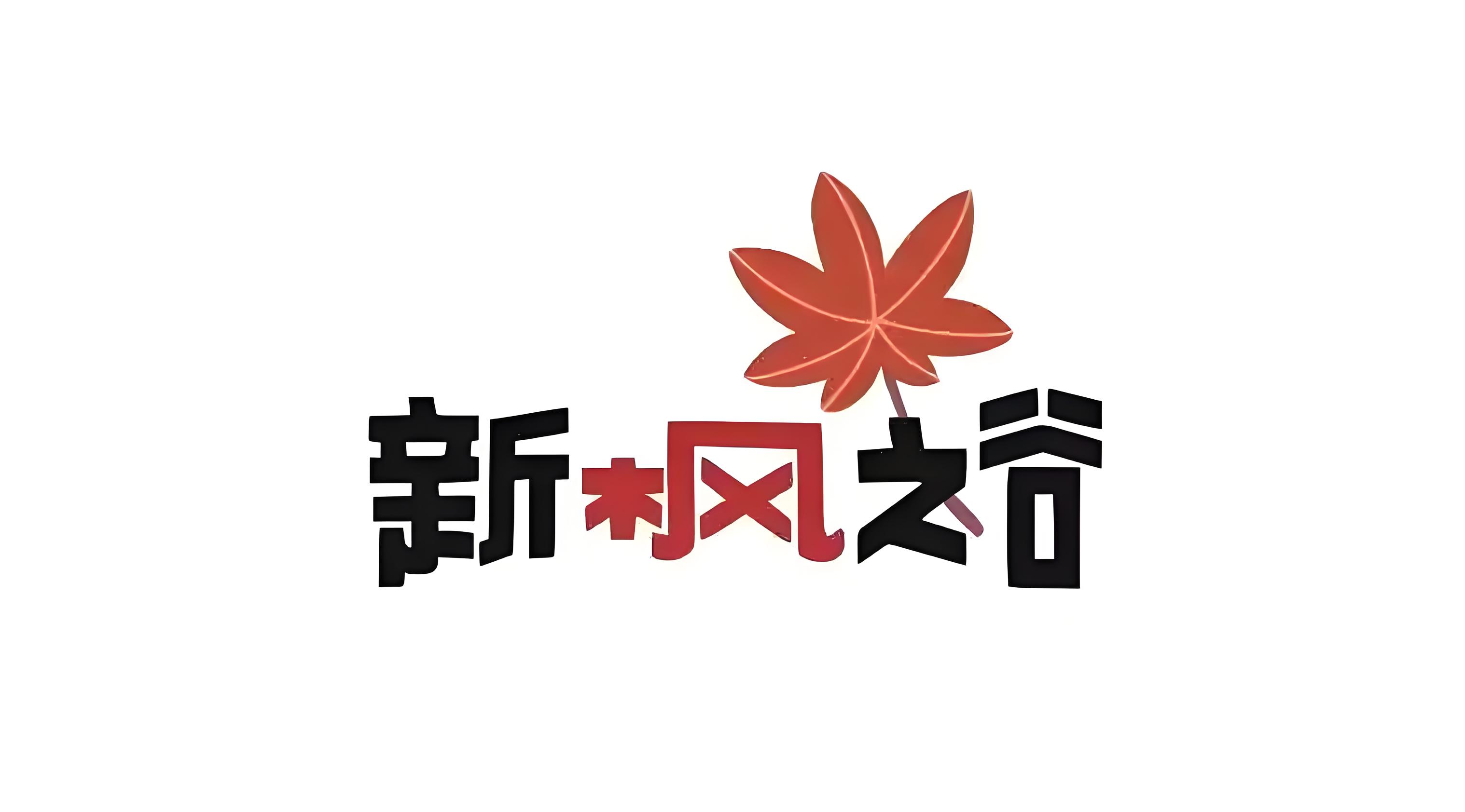 鲜牛加速器新功能尝鲜：枫之谷玩家的福利时刻