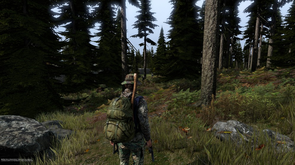鲜牛加速器打造《DayZ》极致拟真生存体验