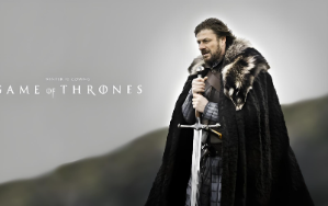 《权力之望》游戏插件:鲜牛加速器兼容性测试