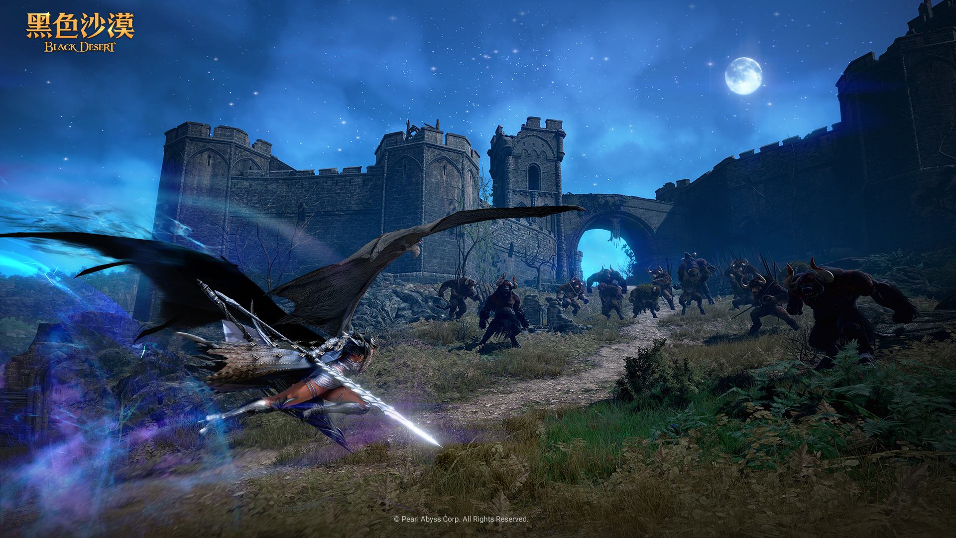 鲜牛加速器优化《黑色沙漠》语音与小队指令同步